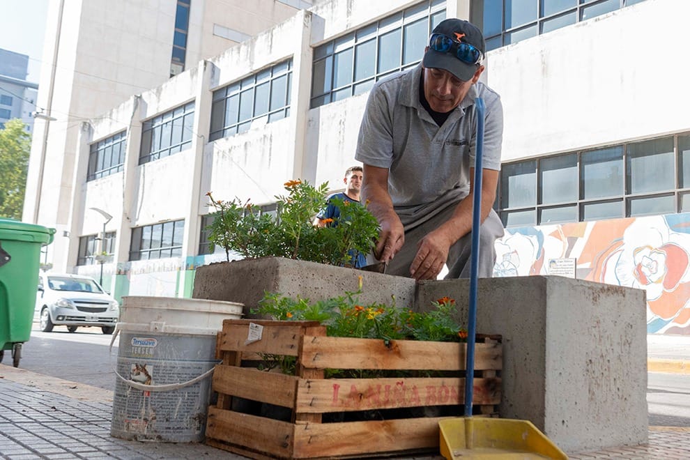 Lee más sobre el artículo Con plantines producidos por internos, se embellece el microcentro de Río Cuarto